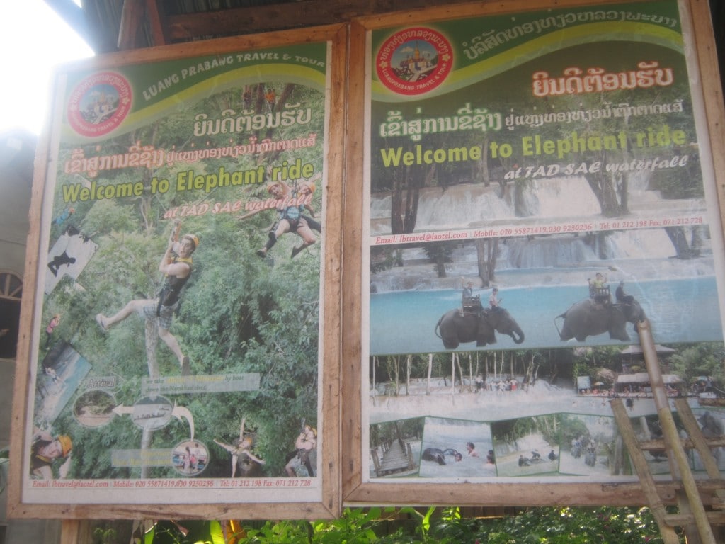 Credit photos: Panneau Elephant ride - Rattana CHIN Credit photos: Panneau Elephant ride - Rattana CHIN