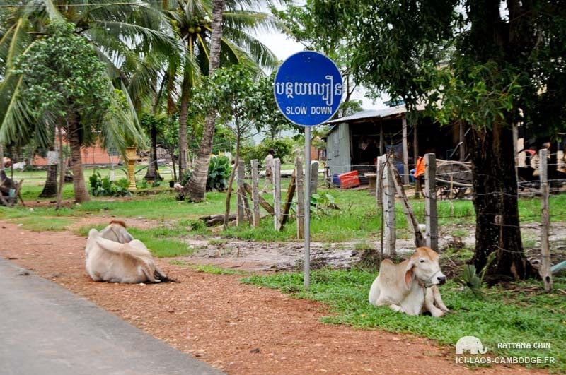 Insolite voyage Cambodge