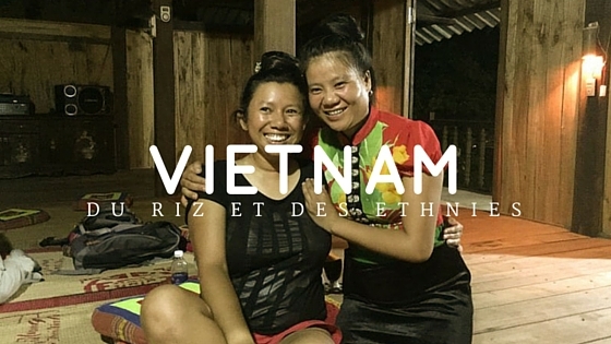 Du Riz aux ethnies Vietnam