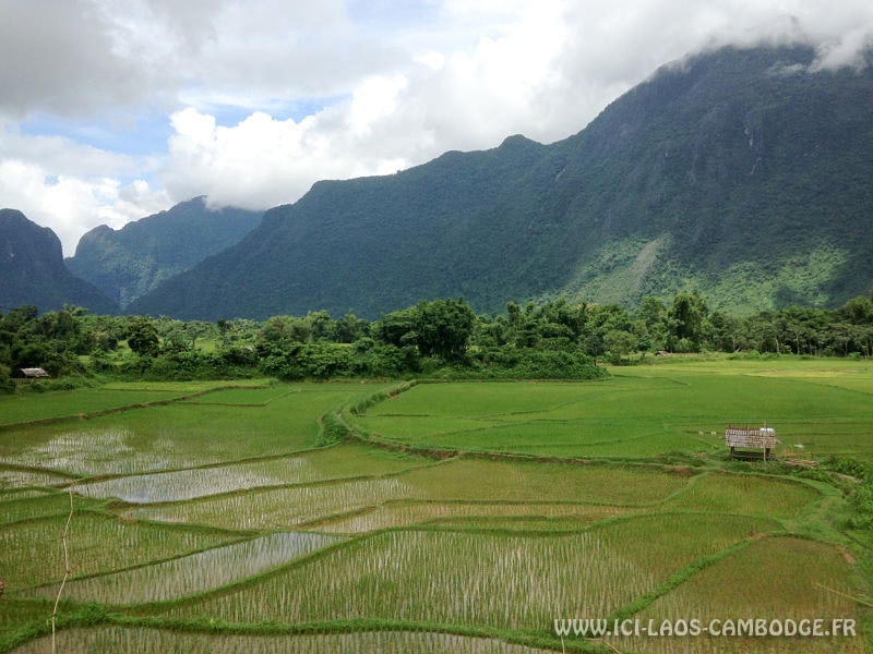 Rizières environs Vang Vieng