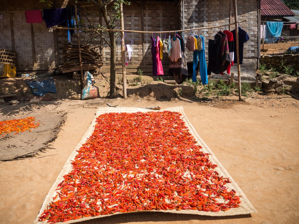 Piments séchés dans un village au bord de la Nam Ou