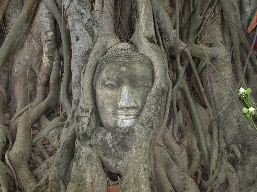 Ayutthaya
