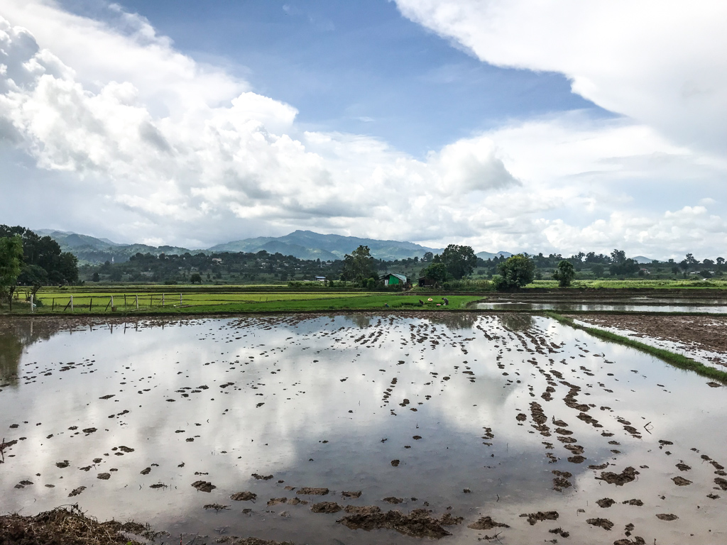 Rizière inondée Hsipaw