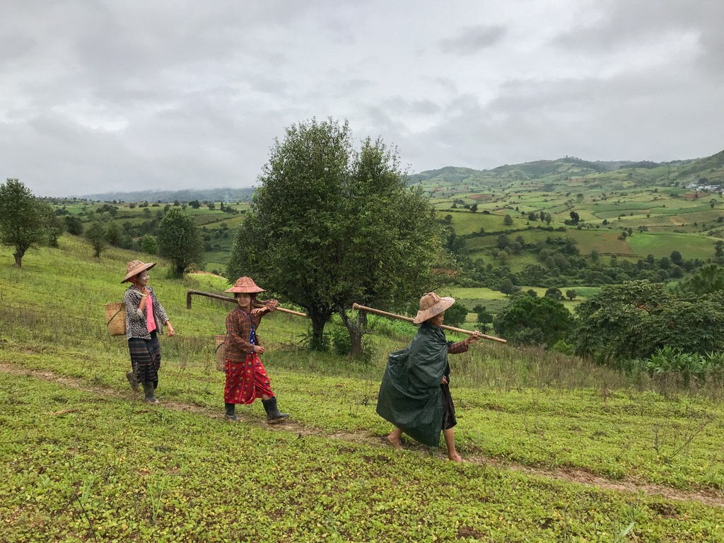 Trek Kalaw lac Inlé