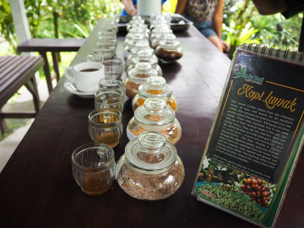 Que faire à Ubud ? : Découvrir la fabrication du kopi Luwak