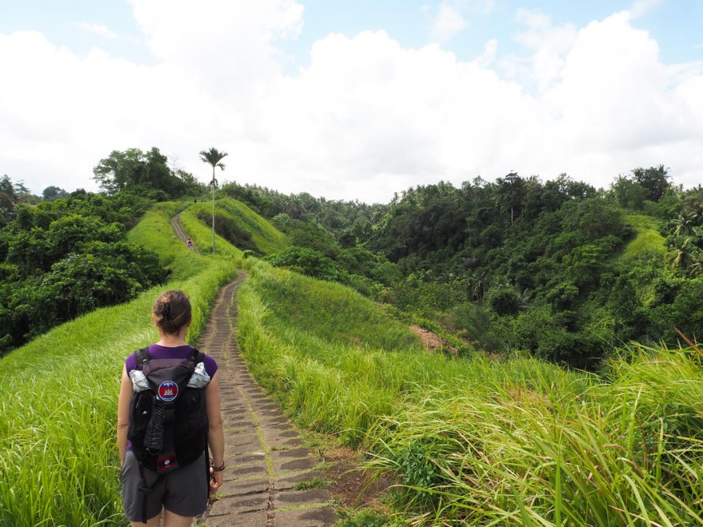 Que faire à Ubud ? : Se promener au Campuhan Ridge Walk