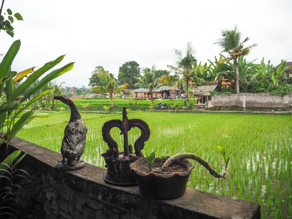 Où dormir à Ubud ? Au Balimoon guesthouse
