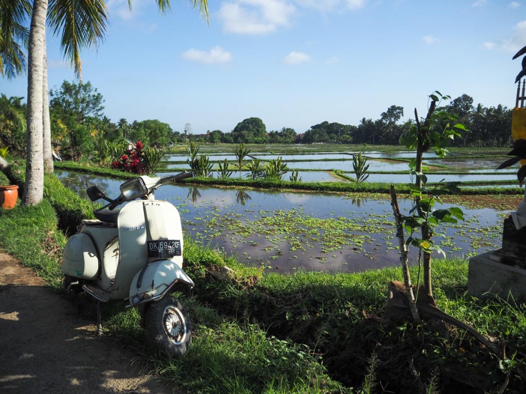 Que faire à Ubud ? : Aller aux rizières d'Ubud