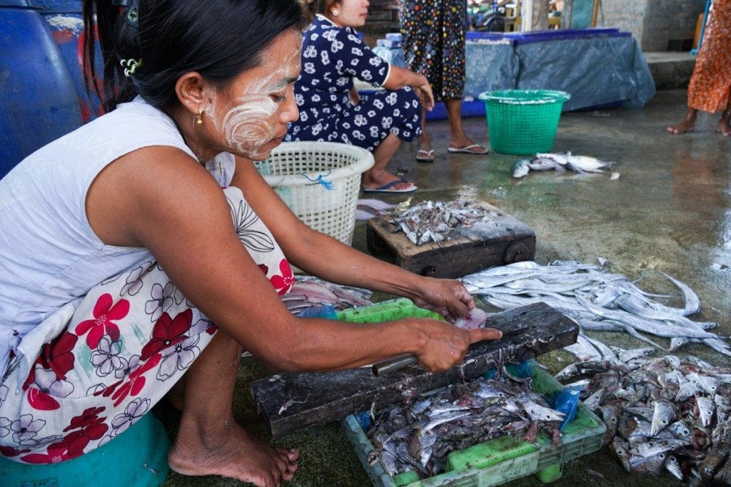 Découpe de poissons Village San Hlan - Dawei
