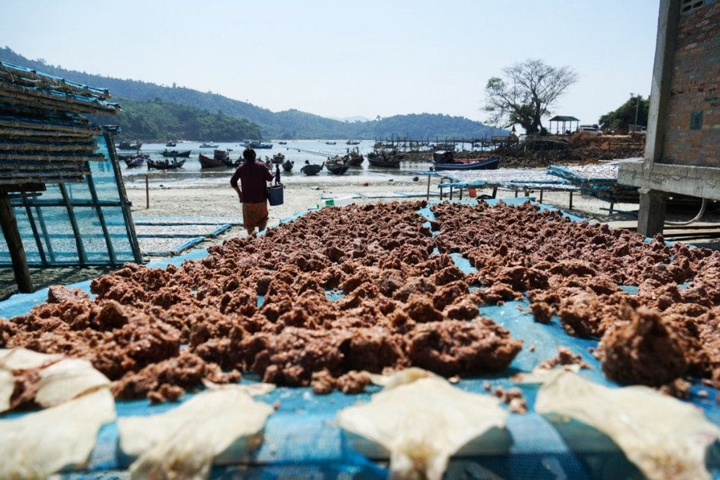 Saumur de poisson au village San Hlan - Dawei