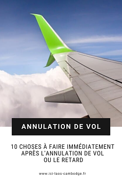 Pin it - Annulation de vol