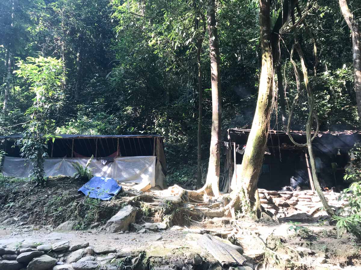 Tentes du campement du trek à Bukit Lawang