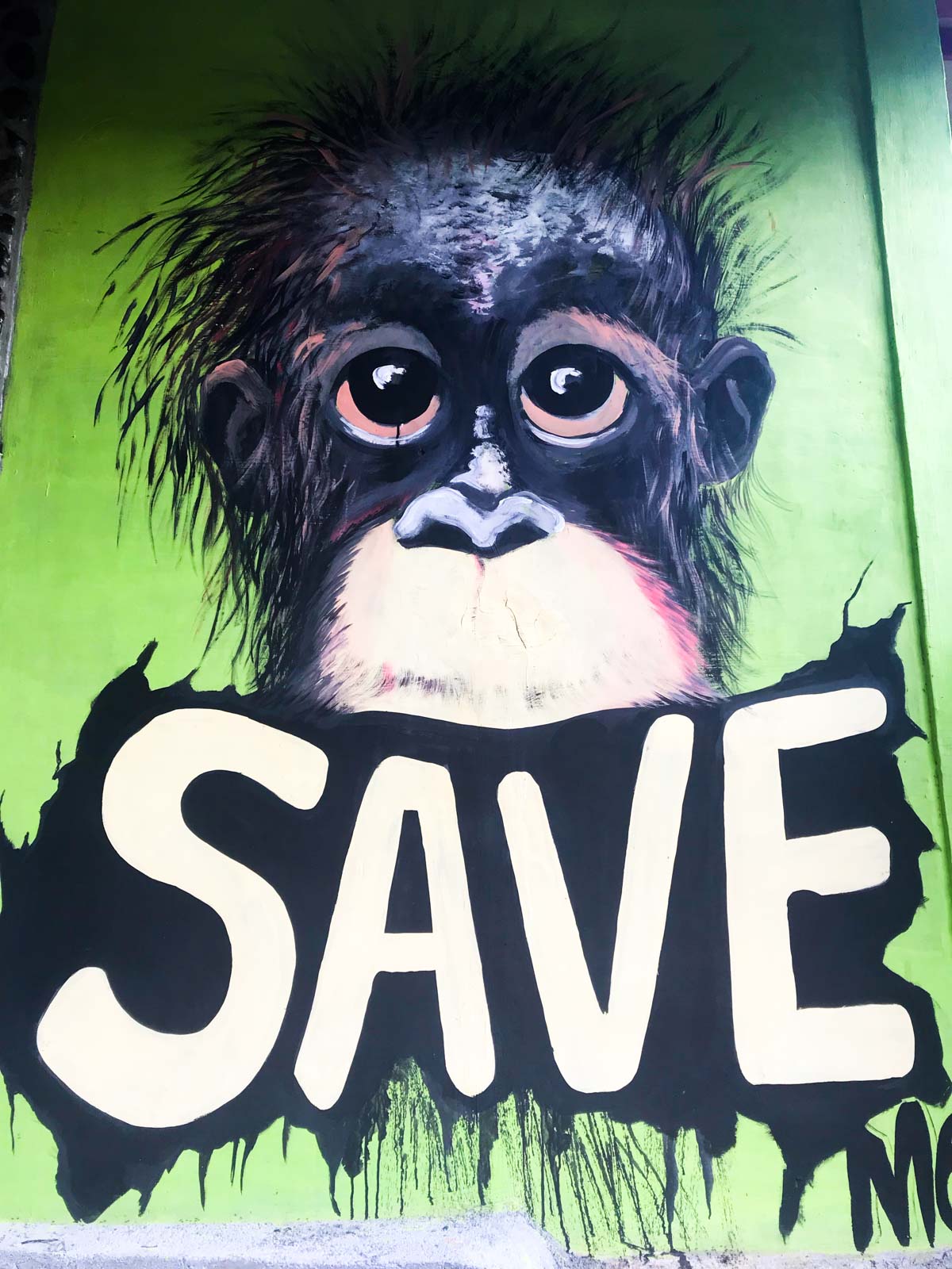 Trek à Bukit Lawang à Sumatra en Indonésie