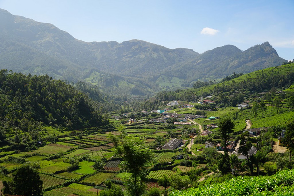 Munnar paysage