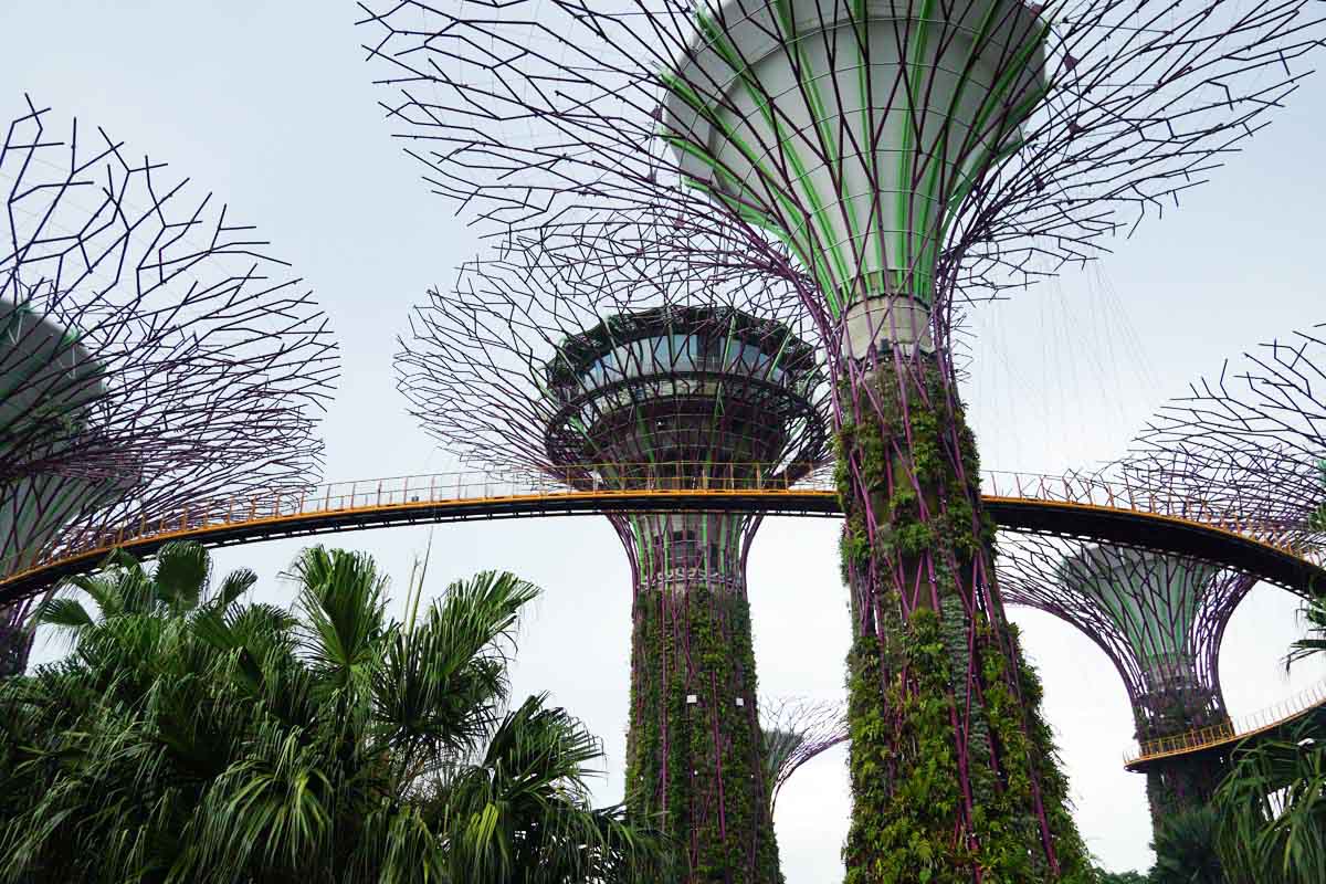 Visiter Singapour: Gardens by the Bay