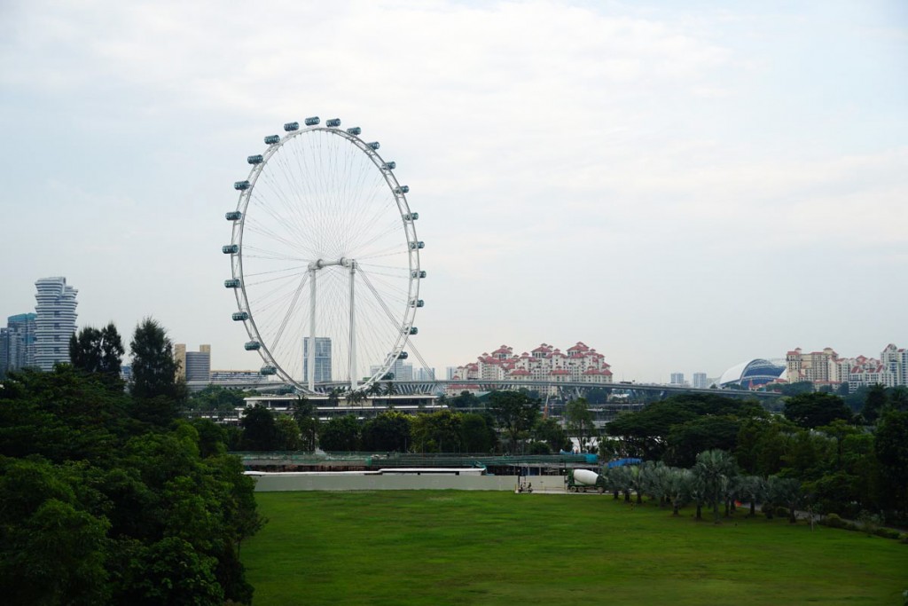 Visiter Singapour: Singapore flyer