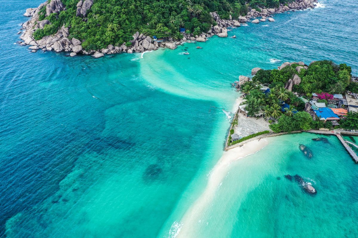 Plongée à Koh Tao