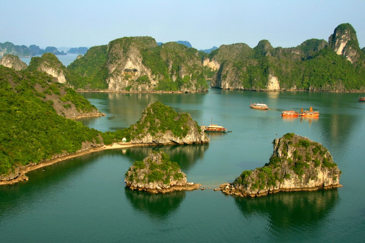 baie dhalong terrestre