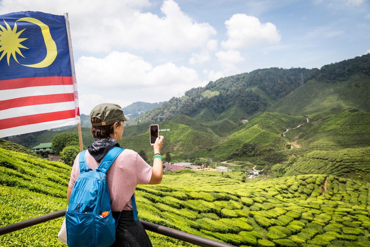 plantations cameron highlands