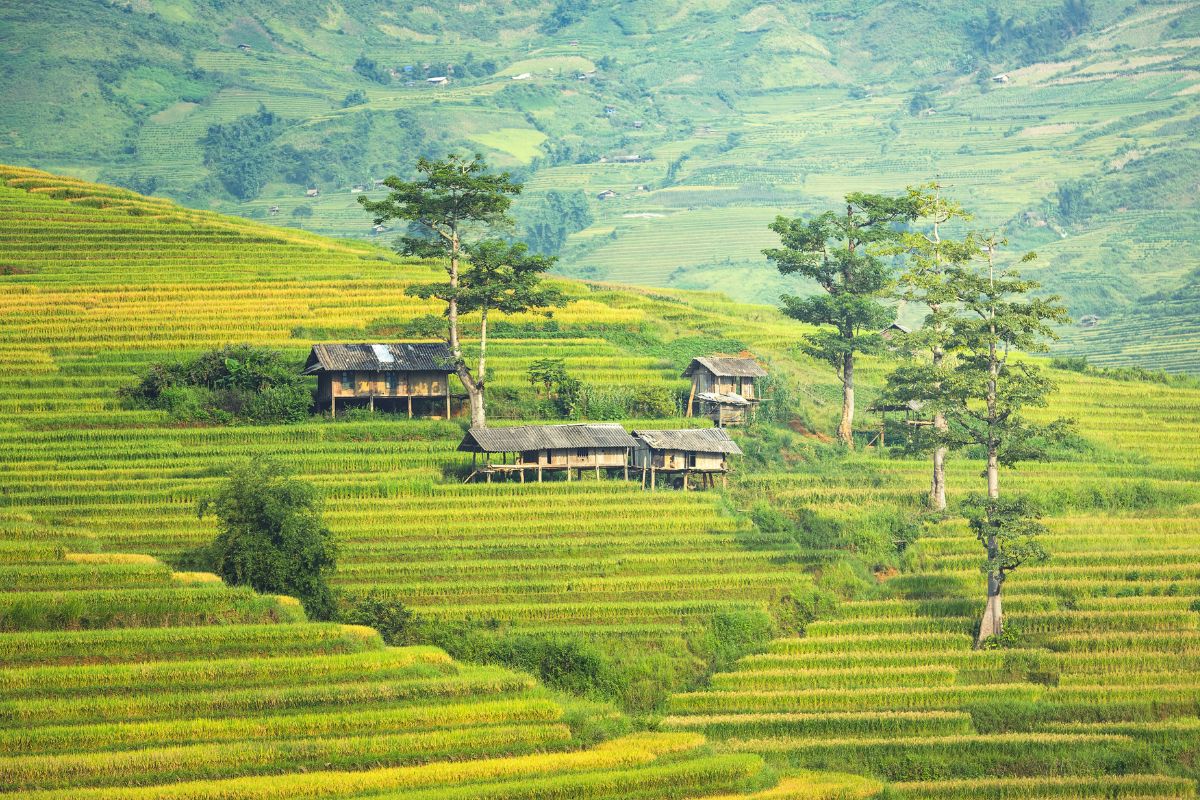 sapa vietnam