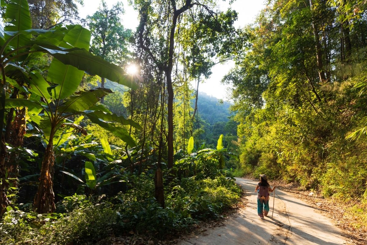 trekking thailande
