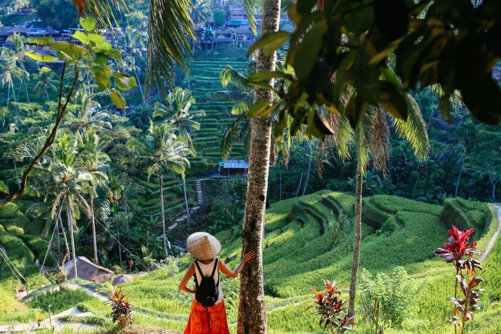 quand partir en indonesie meilleure periode