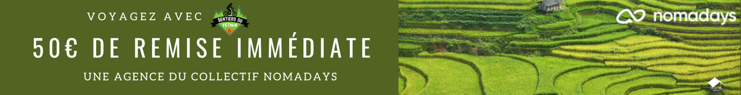 ban nomadays vietnam categorie